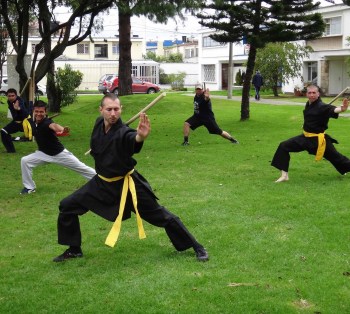 clases de kung fu en bogota